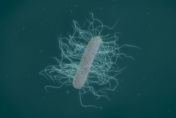 Clostridium difficile - Mikrobiomik