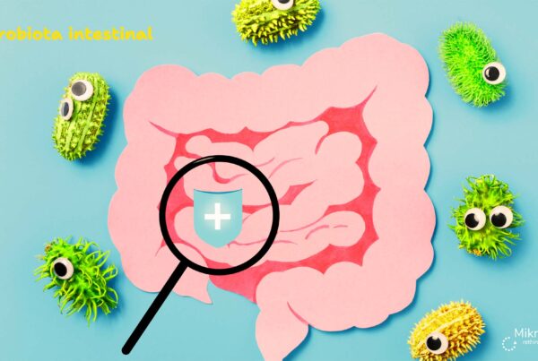Microbiota intestinal